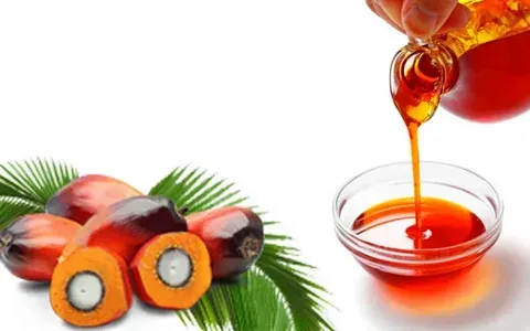 روغن پالم برای شیرینی پزی + بهترین قیمت خرید