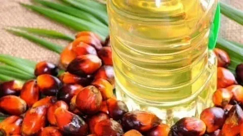 روغن پالم برای شیرینی پزی + بهترین قیمت خرید
