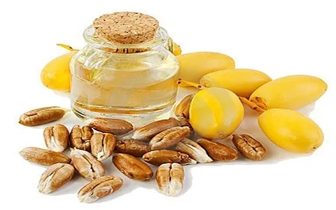 خرید و قیمت روغن هسته خرما ارگانیک