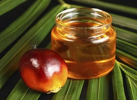 روغن هسته خرما عمده | خرید با قیمت ارزان