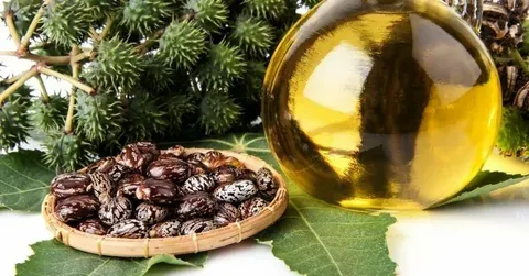 روغن خرما سرخ کردنی + خرید