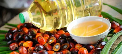 روغن پالم برای شیرینی پزی + بهترین قیمت خرید